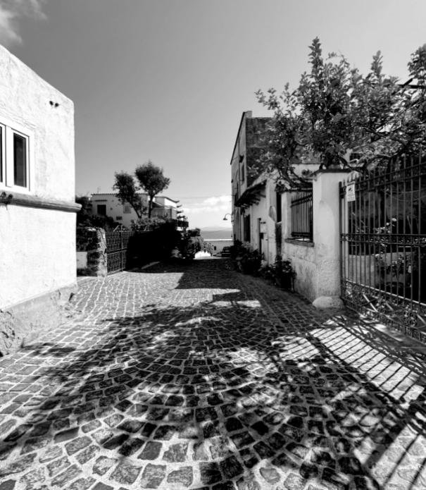 Stradina acciottolata, ombre di alberi, case rustiche, vista mare lontana, atmosfera tranquilla e serena.
