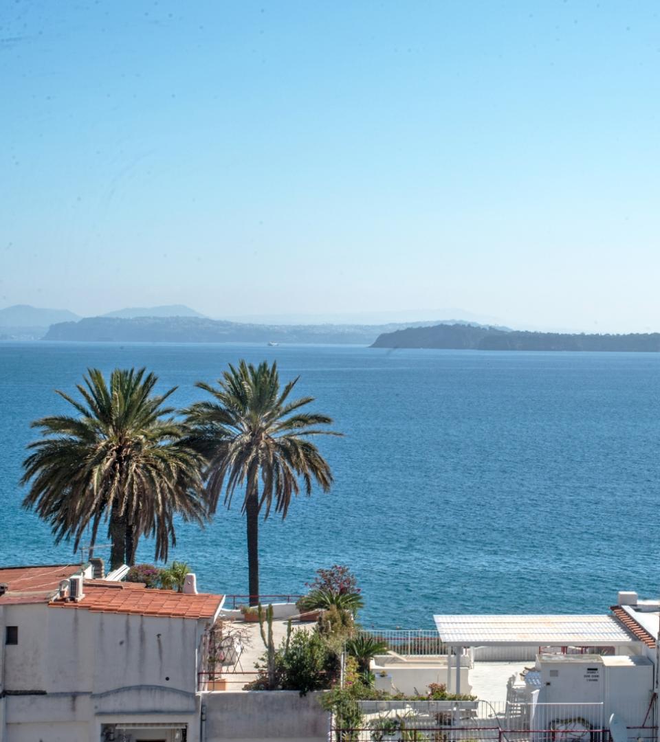 Mare azzurro, palme ondeggianti, cielo limpido: un panorama sereno e rilassante.