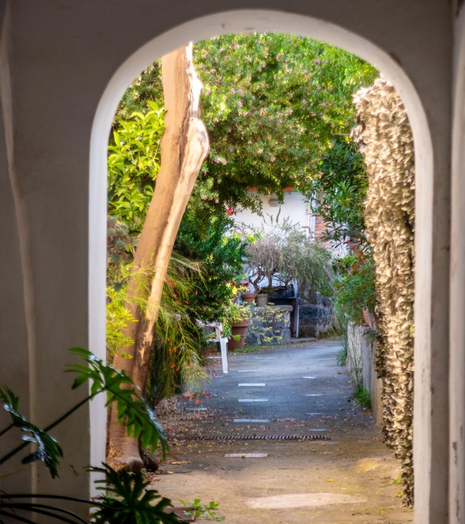 Passaggio ad arco verso un giardino sereno, con alberi e luce calda del sole.